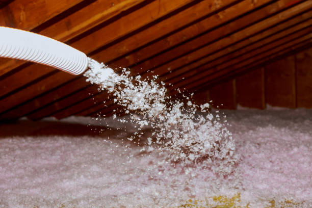 Types of Insulation We Offer in Galliano, LA