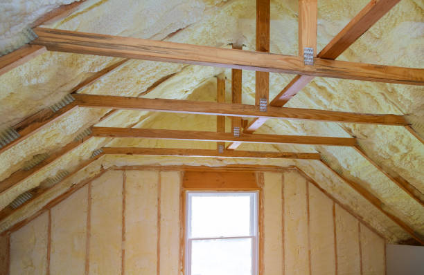 Best Spray Foam Insulation in Galliano, LA