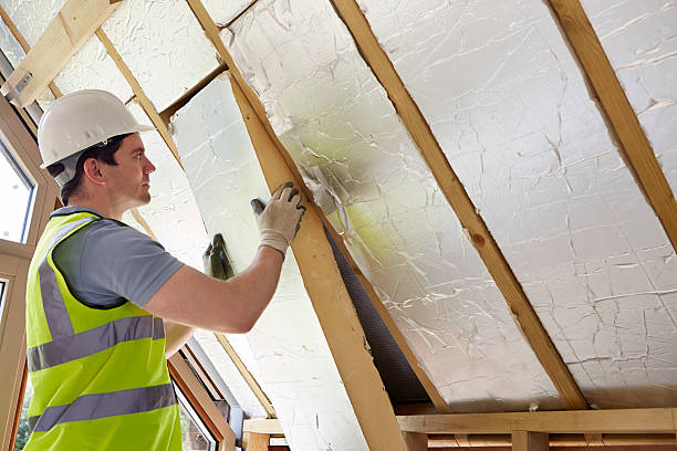 Best Insulation Maintenance and Repair in Galliano, LA